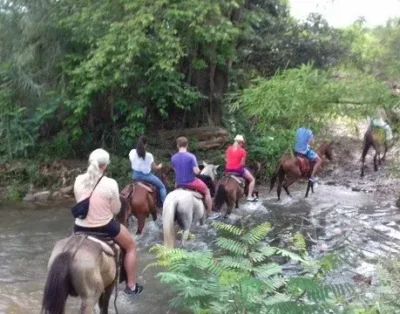 Horseback Riding Tours Trinidad